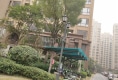 新泰龙城户型图实景图