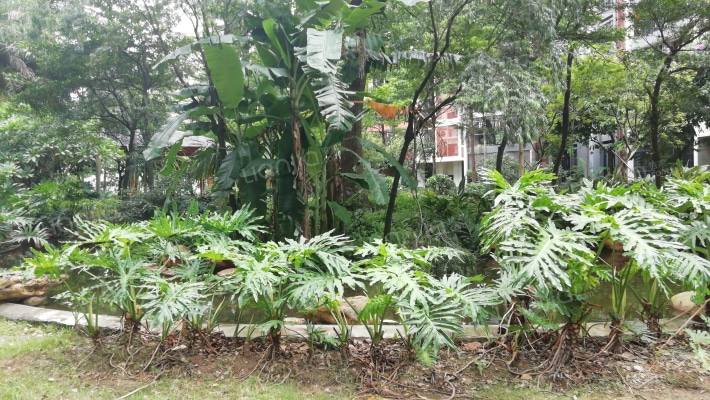 海琴水岸御水湾外景图