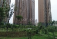 金盾国际A区户型图实景图