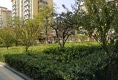 理想城户型图实景图