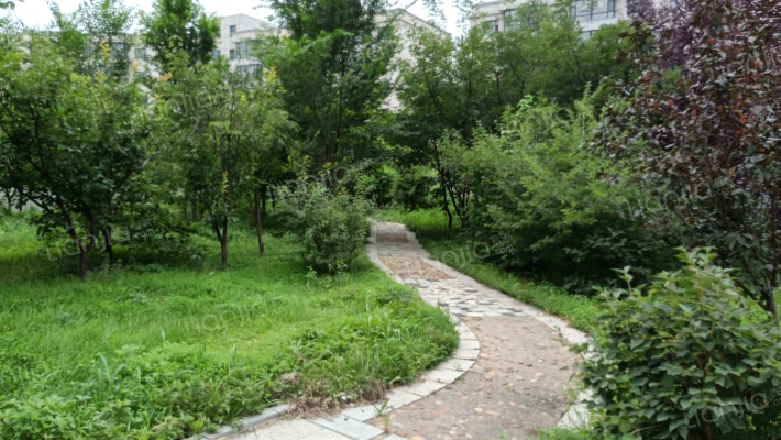 伯都国际外景图