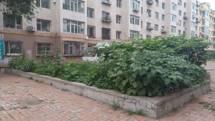 新昌一建小区外景图