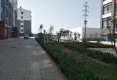 金河源户型图实景图