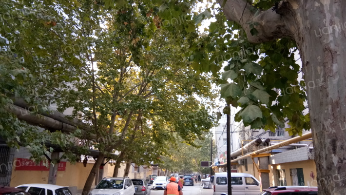 市政府家属楼外景图