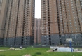 金盾国际A区户型图实景图