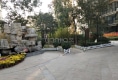 盛世名门户型图实景图