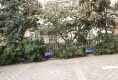 清华园户型图实景图