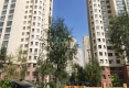 隆豪万利园户型图实景图