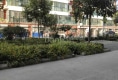 园中苑户型图实景图