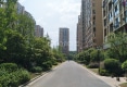 新泽苑户型图实景图