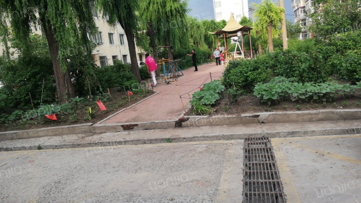 国储235处家属区外景图