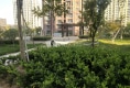 晨曦名郡户型图实景图
