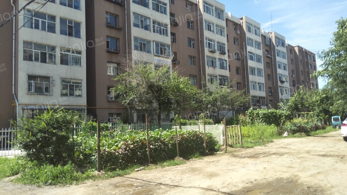 吉炭小区外景图