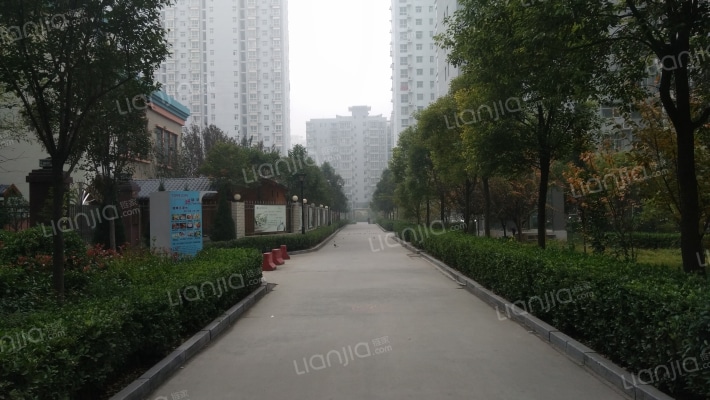 东方现代城外景图