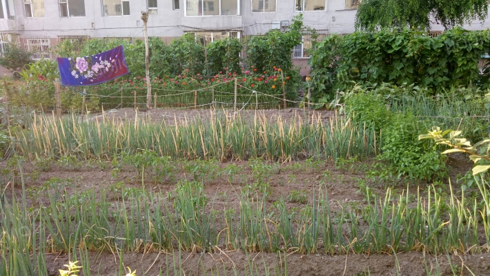 花园小区外景图