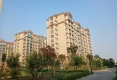 德兴银山龙盘户型图实景图