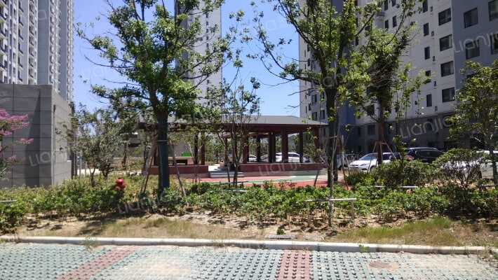 新盛家园A区外景图