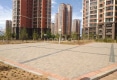 澋园户型图实景图