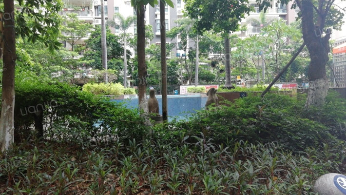 新振华景致尚寓外景图