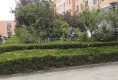 东苑小区东区户型图实景图