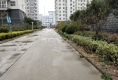 世纪佳苑户型图实景图