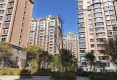 西宁新华联首府二期户型图实景图
