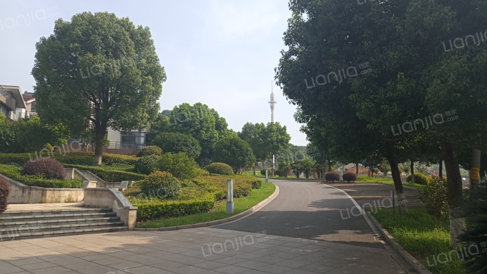 龙山花园外景图