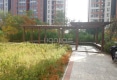 紫薇花园(靖边县)户型图实景图