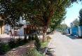 八一小区(八一东路)户型图实景图