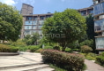 鼎虹城市森邻户型图实景图