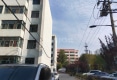 青核花园6号院户型图实景图
