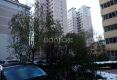 兰青小区户型图实景图