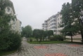 农大小区户型图实景图