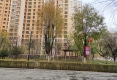 金座晟锦A区户型图实景图