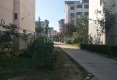 洛北花园户型图实景图