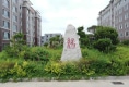 安东雅苑户型图实景图