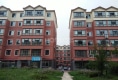 东明新城户型图实景图