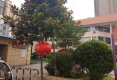 东方现代城户型图实景图