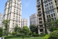 香樟公馆户型图实景图