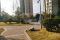 博大壹号院户型图实景图