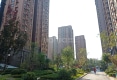 金辰国际户型图实景图