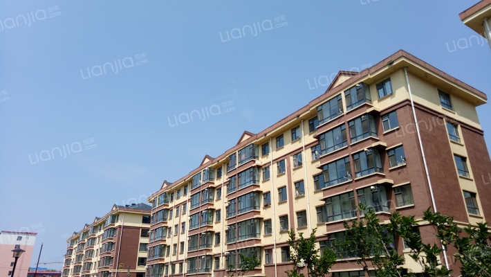 新城•国际外景图