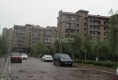 阳光嘉城二期C区户型图实景图
