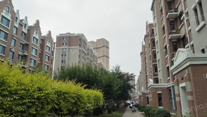 龙凤翔城外景图