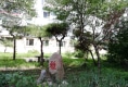 延北小区户型图实景图
