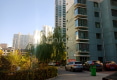 新宁花苑户型图实景图