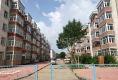 木材厂小区户型图实景图