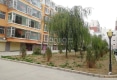 紫薇花嘉园户型图实景图
