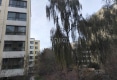 海北小区户型图实景图