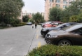 金坤东城明珠户型图实景图